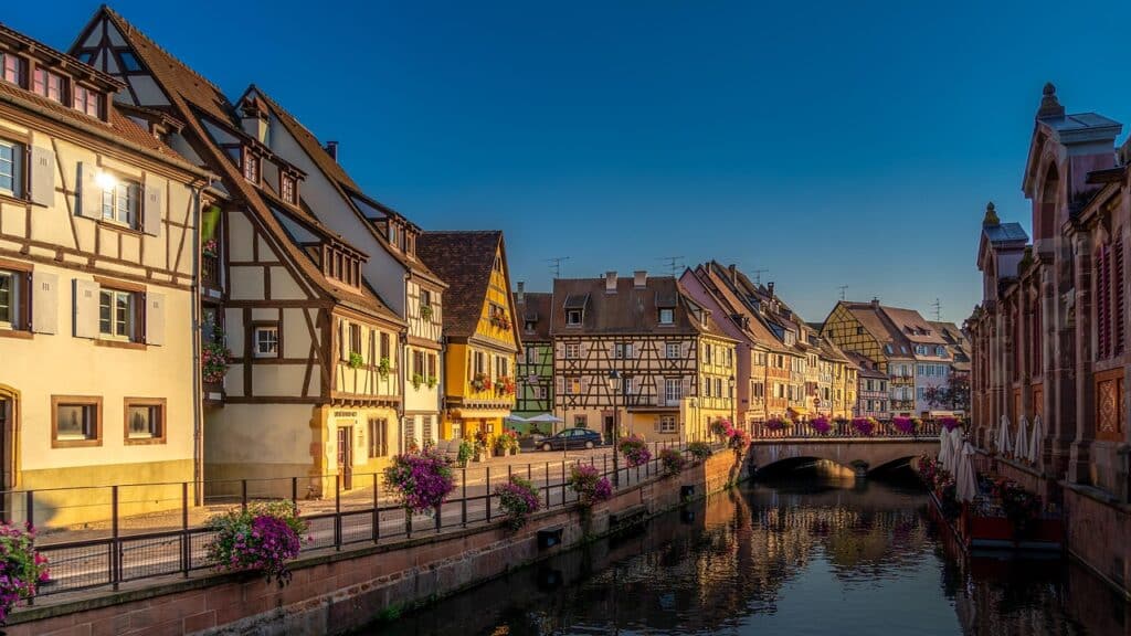 consultant SEA Colmar