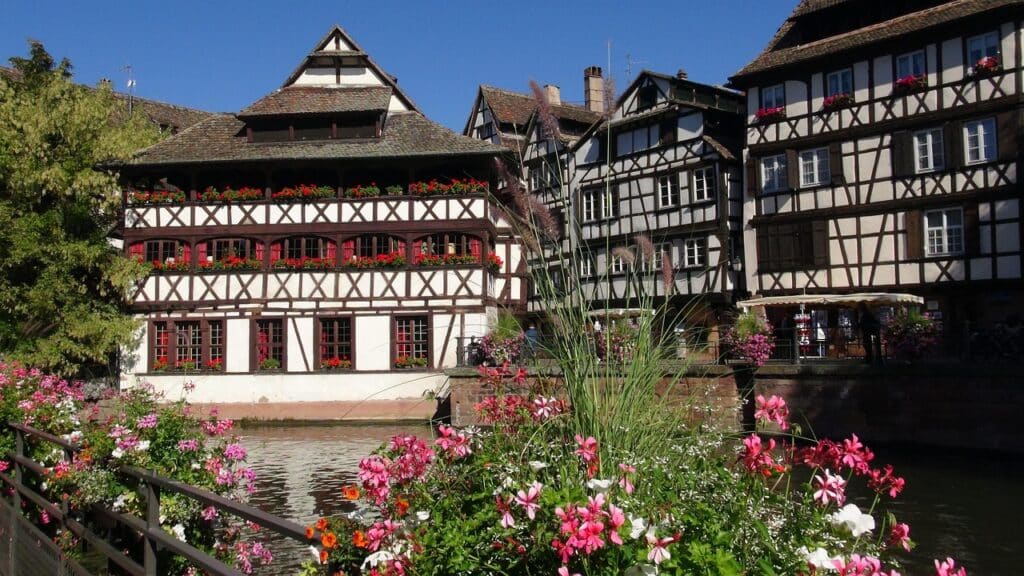 consultant SEA Strasbourg
